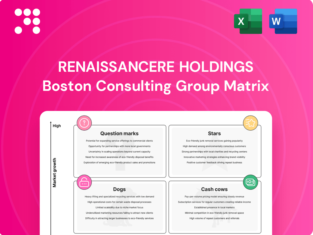 RenaissanceRe Holdings Boston Consulting Group Matrix