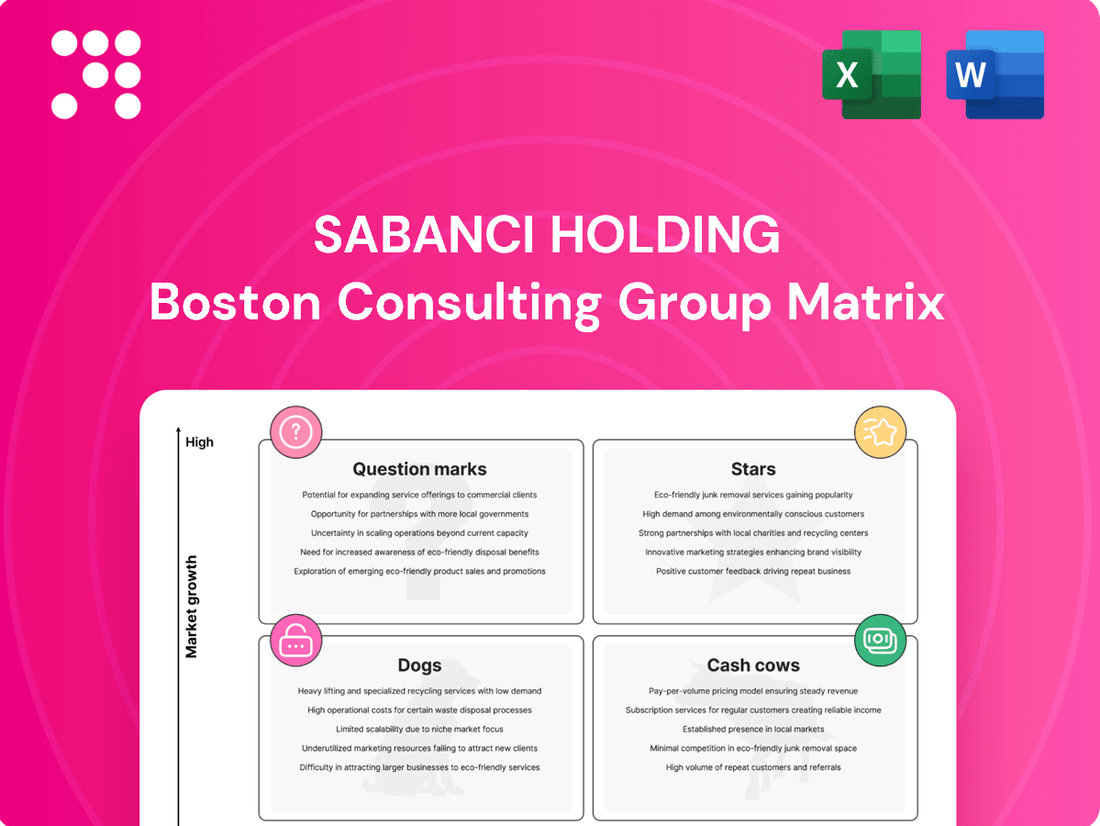 Sabanci Holding Boston Consulting Group Matrix