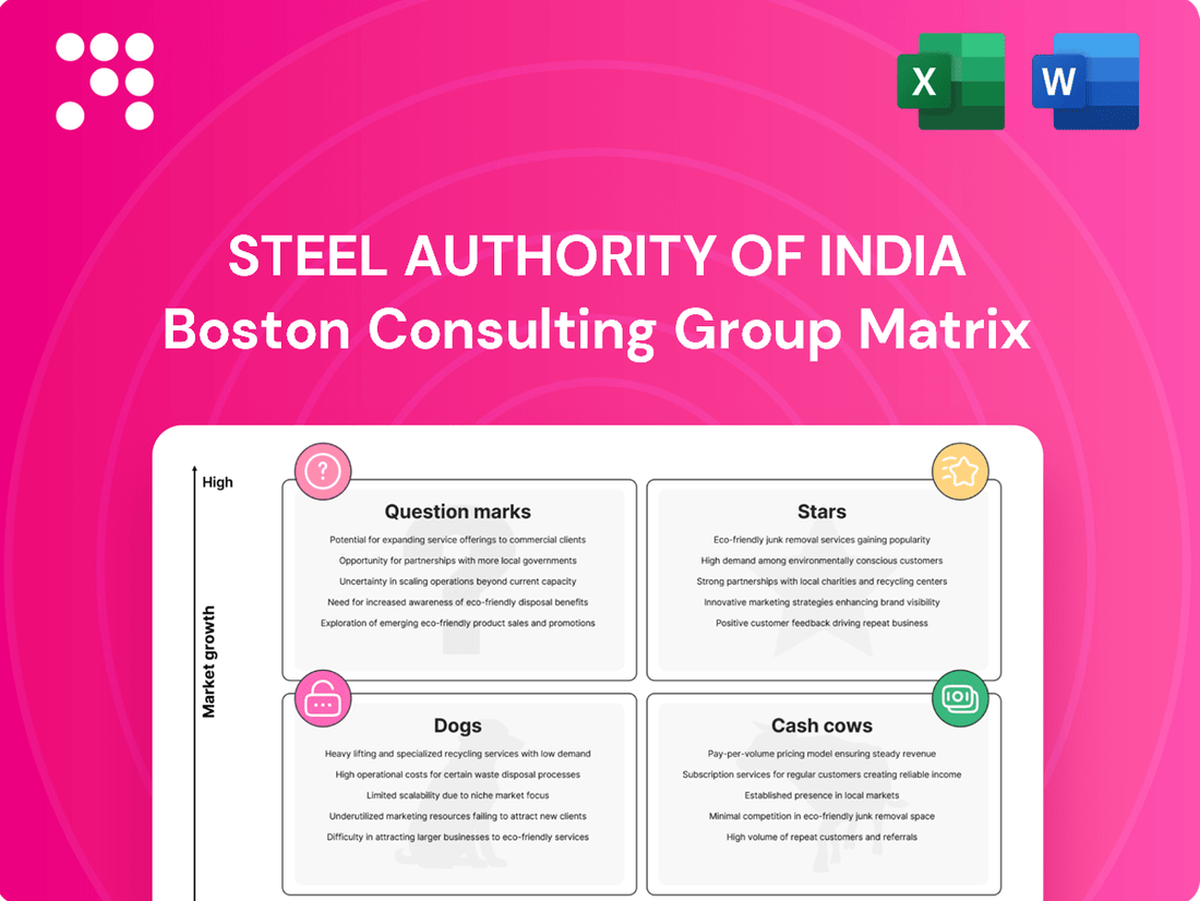 Steel Authority of India Boston Consulting Group Matrix