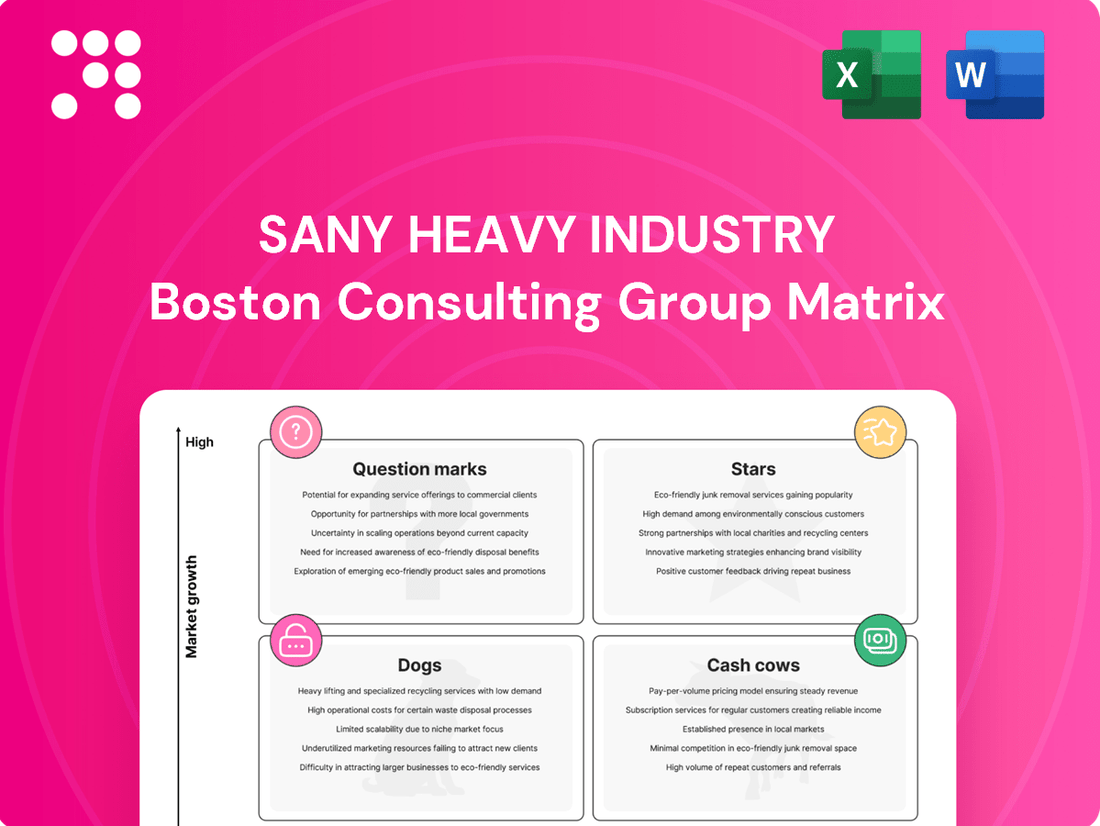 Sany Heavy Industry Boston Consulting Group Matrix