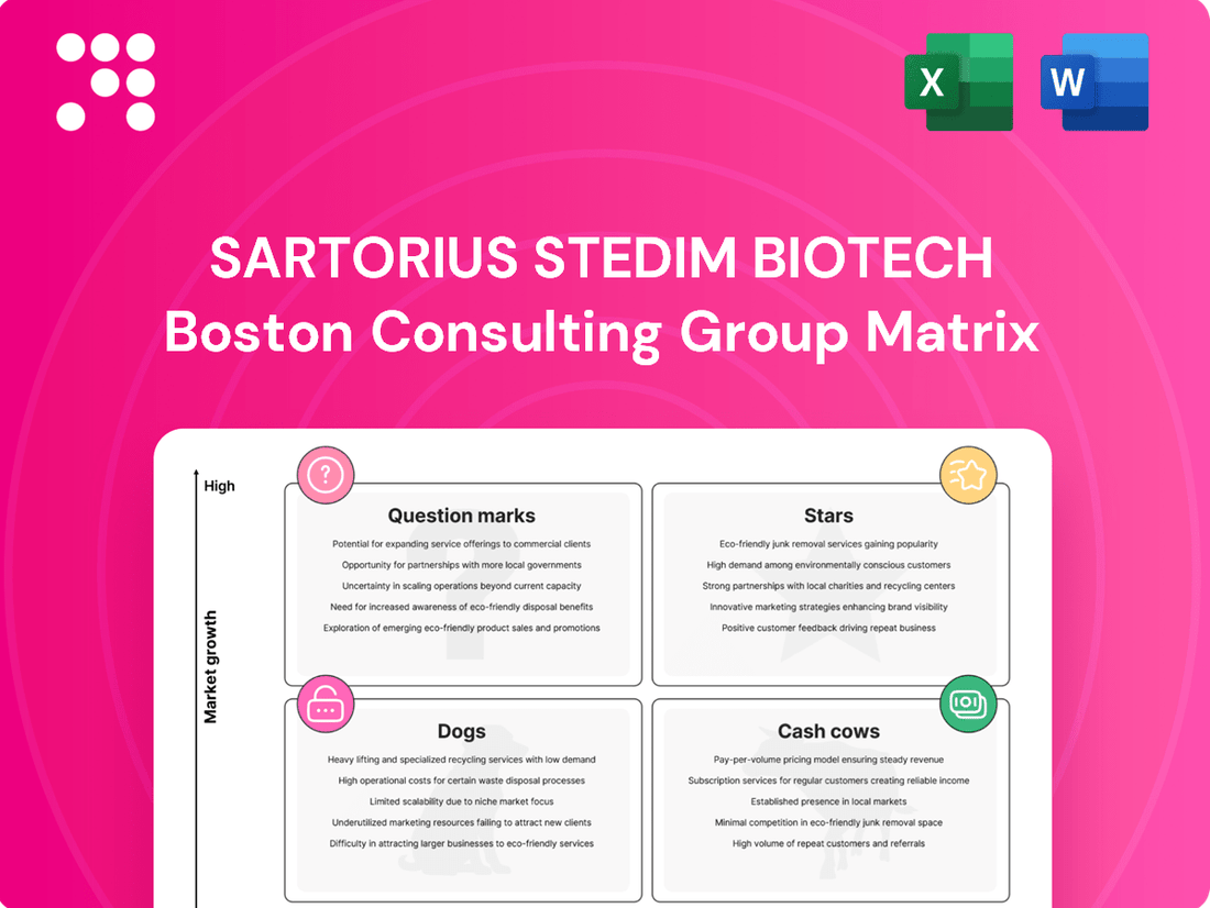 Sartorius Stedim Biotech Boston Consulting Group Matrix