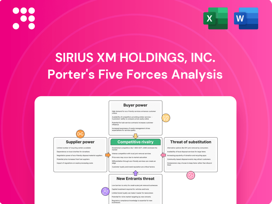 Sirius XM Holdings, Inc. Porter's Five Forces Analysis