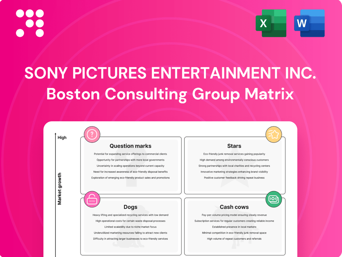 Sony Pictures Entertainment Inc. Boston Consulting Group Matrix