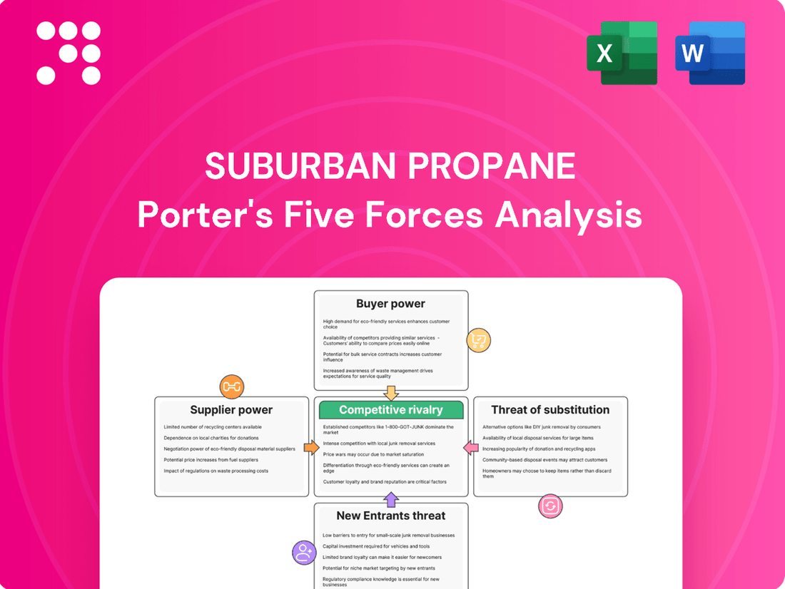 Suburban Propane Porter's Five Forces Analysis