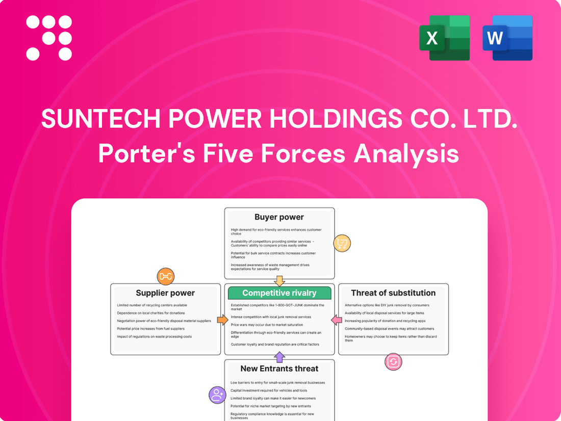 Suntech Power Holdings Co. Ltd.  Porter's Five Forces Analysis
