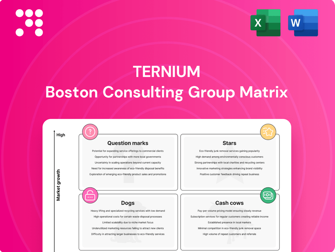 Ternium Boston Consulting Group Matrix