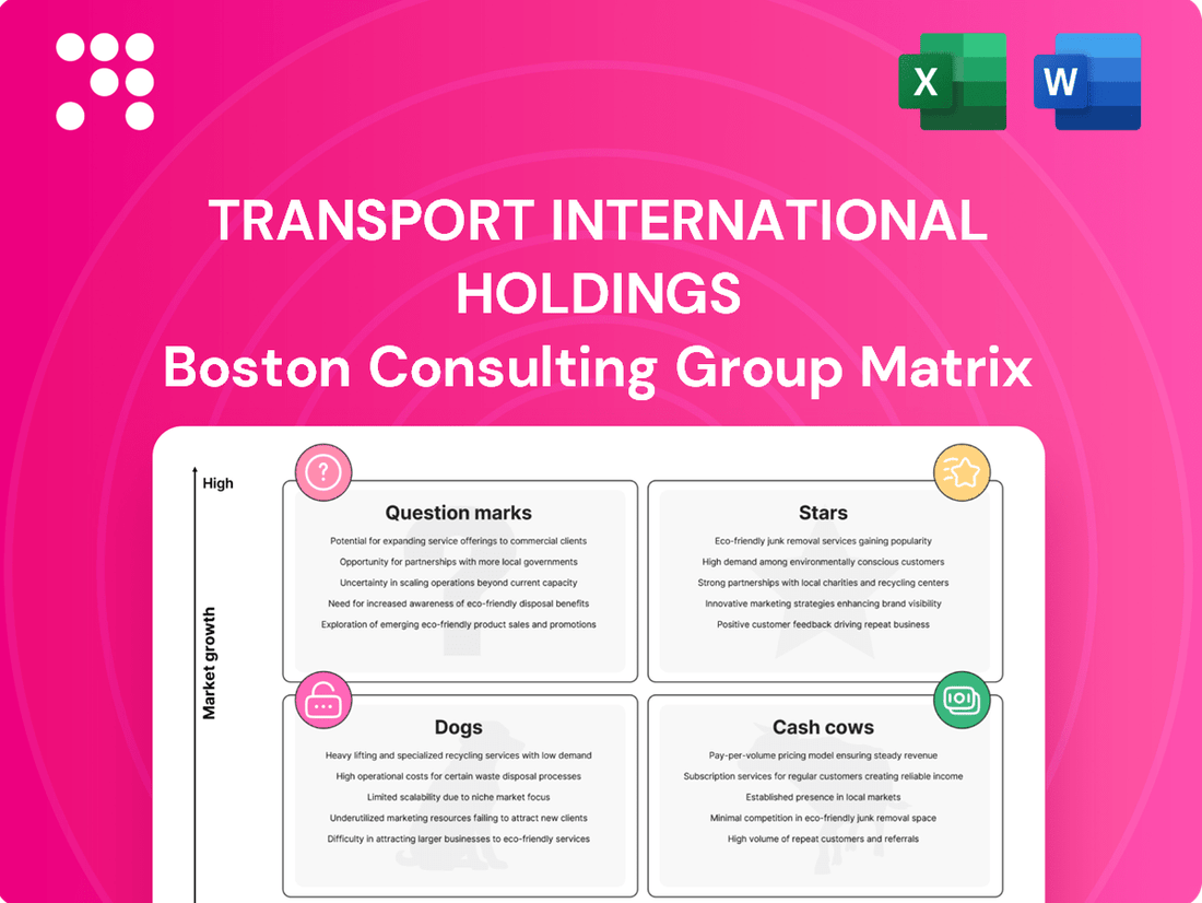 Transport International Holdings Boston Consulting Group Matrix