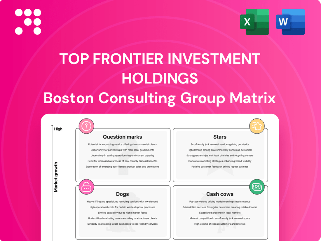 Top Frontier Investment Holdings Boston Consulting Group Matrix