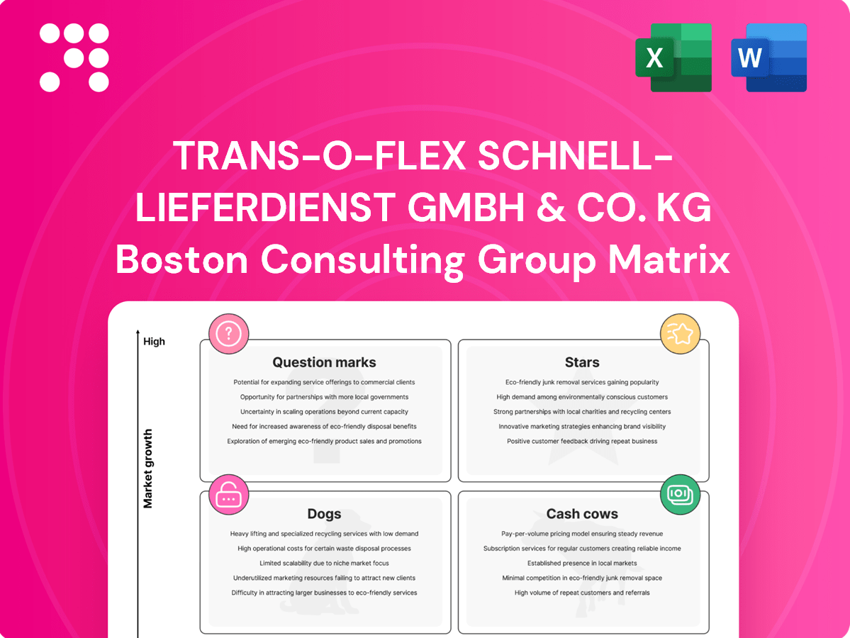 trans-o-flex Schnell-Lieferdienst GmbH & Co. KG BCG Matrix Analysis ...