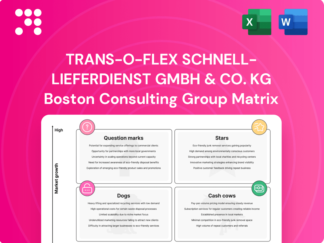 trans-o-flex Schnell-Lieferdienst GmbH & Co. KG Boston Consulting Group Matrix