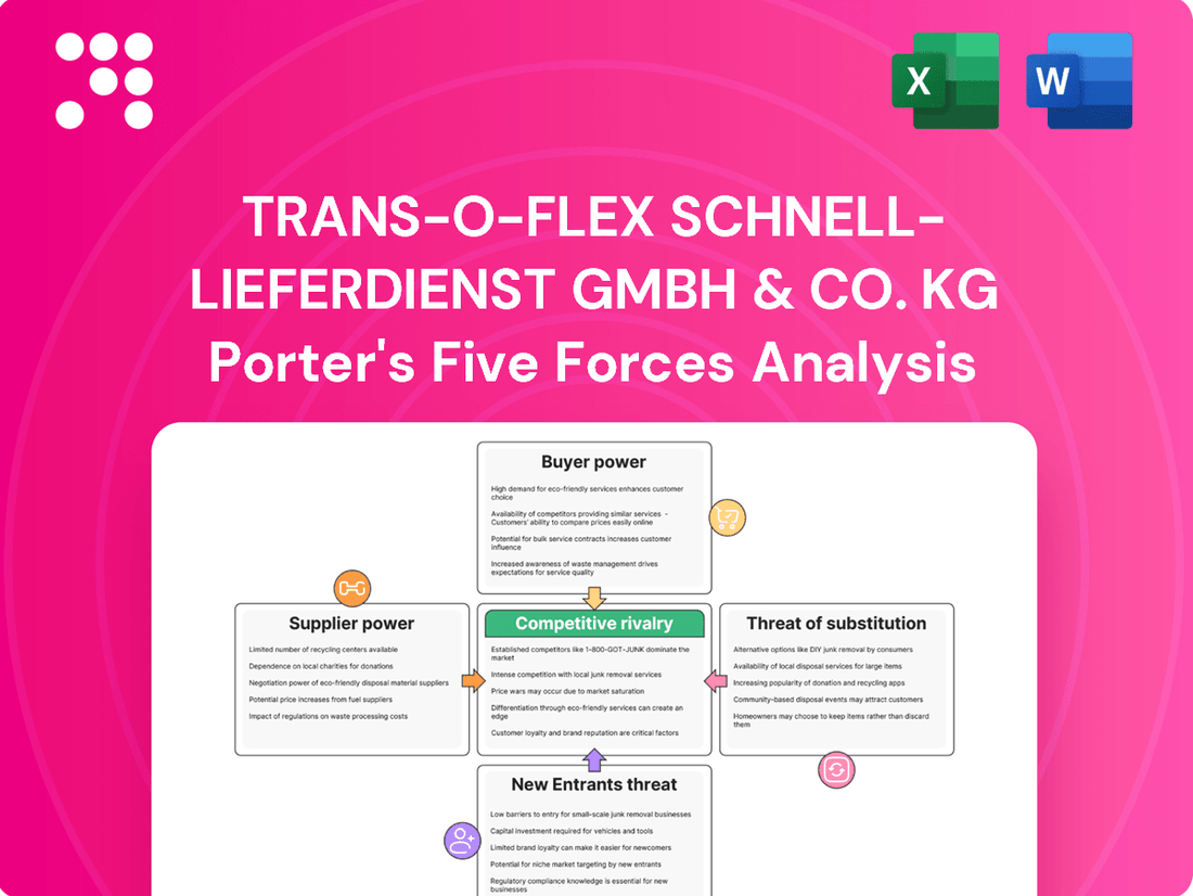trans-o-flex Schnell-Lieferdienst GmbH & Co. KG Porter's Five Forces Analysis