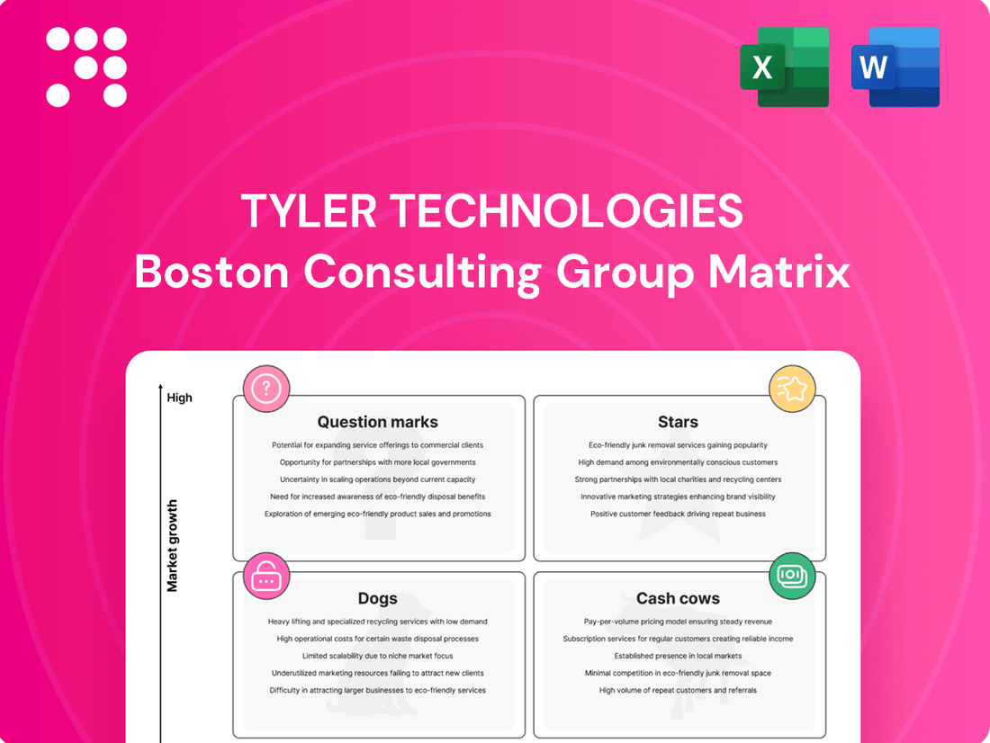Tyler Technologies Boston Consulting Group Matrix