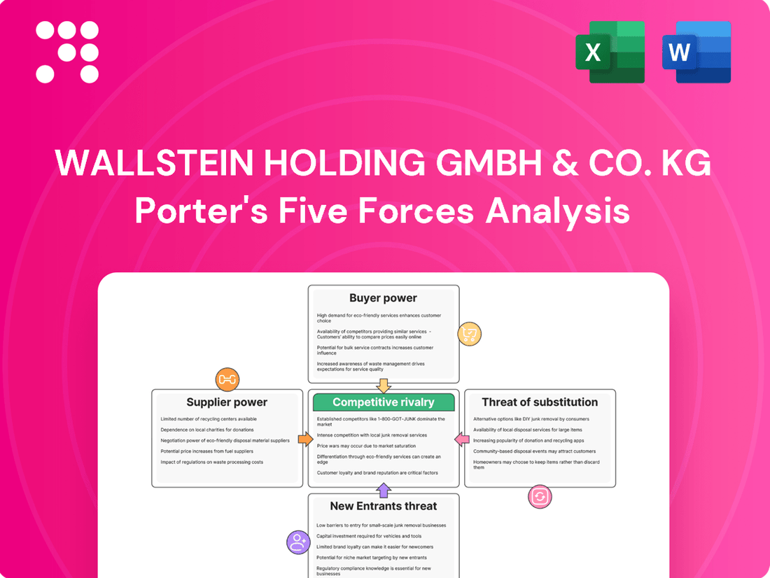 Wallstein Holding GmbH & Co. KG Porter's Five Forces Analysis