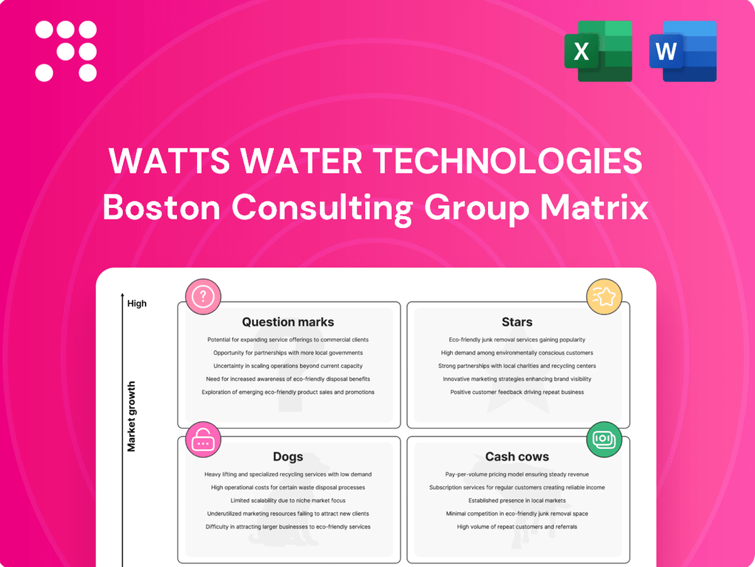Watts Water Technologies Boston Consulting Group Matrix